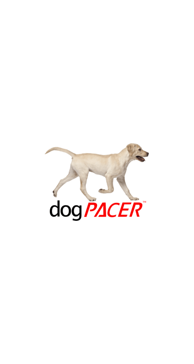 dogpacer mini